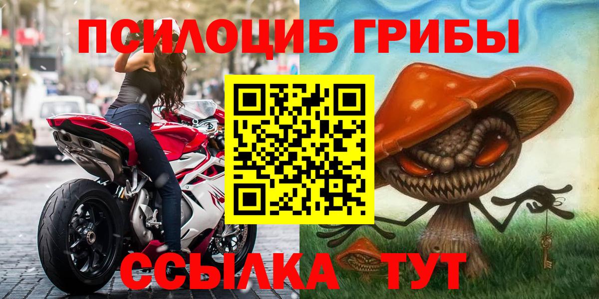 Псилоцибиновые грибы Cubensis Мариинск